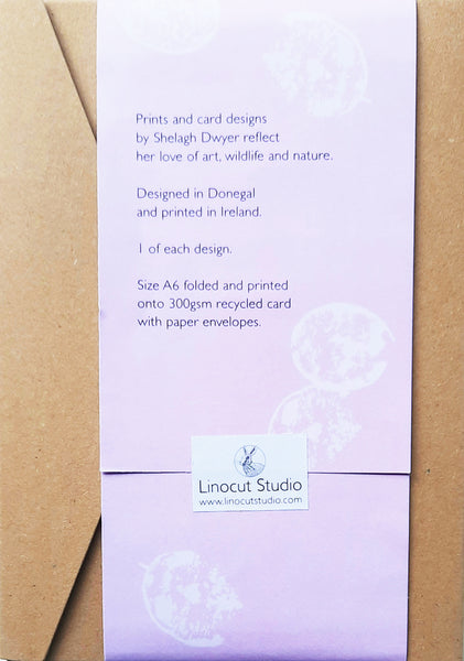 Honesty Card Box Set