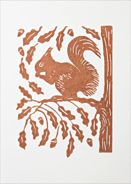 Red Squirrel