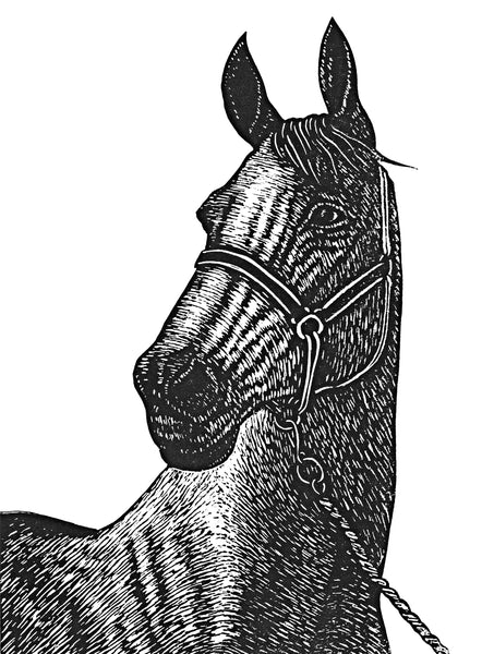 Linocut portrait of horse in black ink
