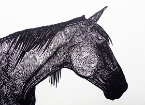 Horse portrait limited edition lino print in black ink