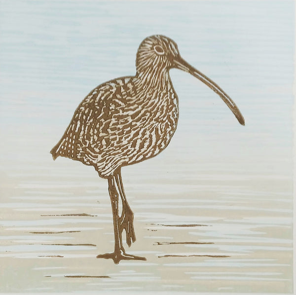 Curlew
