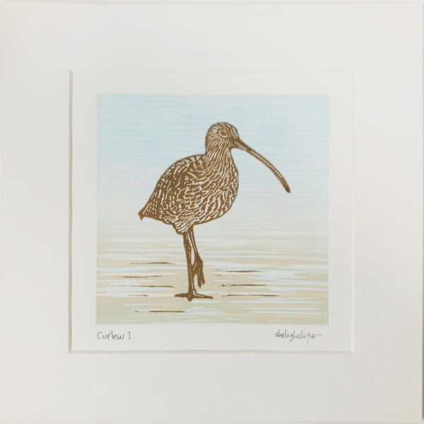 Curlew