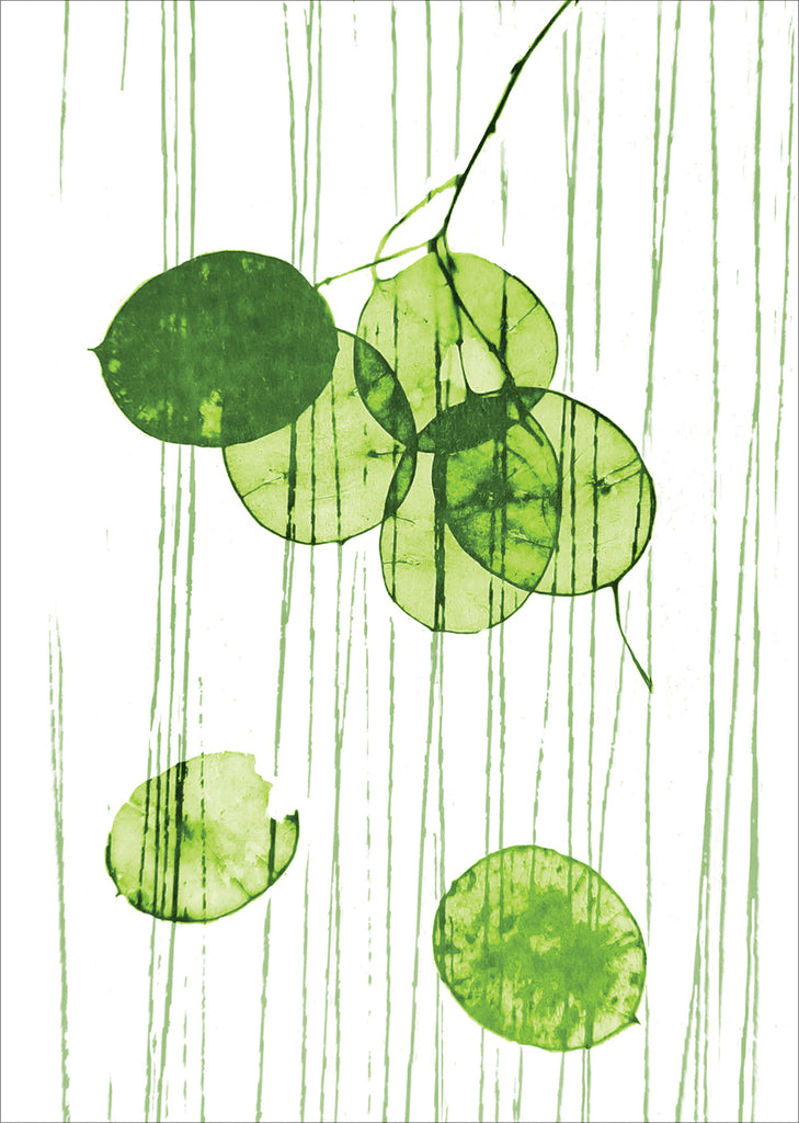 Honesty Card Box Set – Linocut Studio