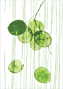 Beautiful card of Honesty seed pods printed with green ink