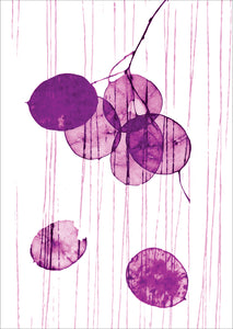 Beautiful card of Honesty seed pods printed with purple ink