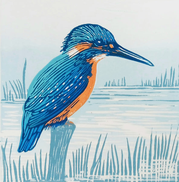 Kingfisher
