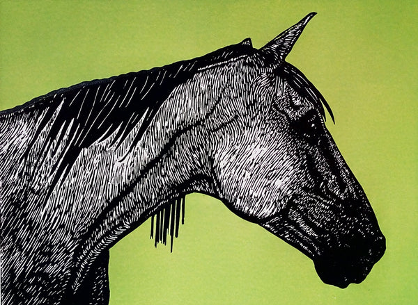 Linocut portrait of old horse in black ink and vivid green background